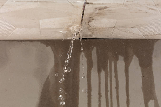 Professional Flood Damage Cleanup technician working in Sloan, NV